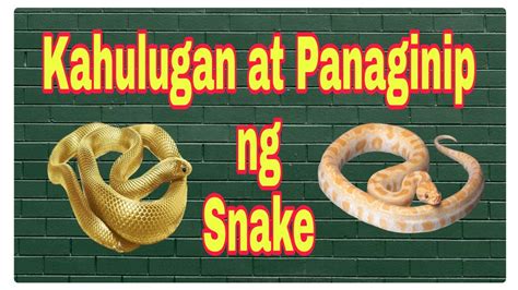 panaginip na maraming ahas|Wag Mo Balewalain Ang PANAGINIP ng AHAS .